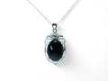 "Gift of Shield" Black Agate Necklace